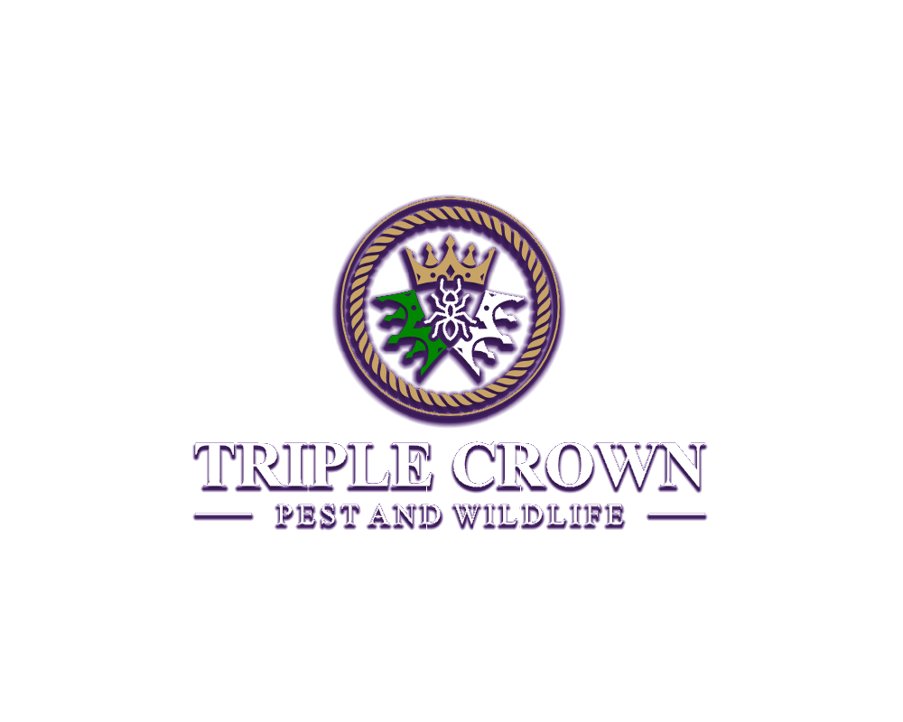 Triple Crown Pest and Wildlife crest logo